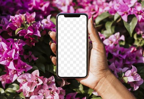 Woman holding a phone over a pink bougainvillea transparent png - 2024642
