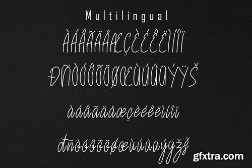 FastSet Handwritten Monoline Font