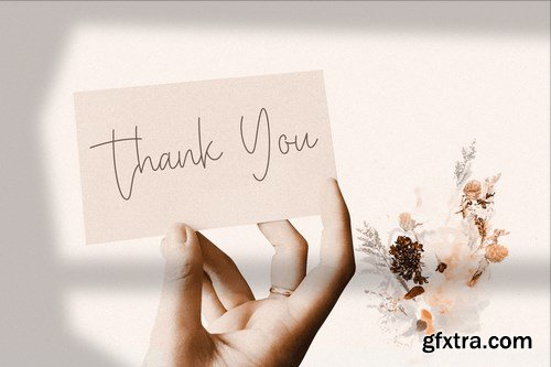 Baster Monky - Monoline Script Font