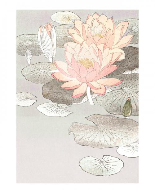 Water lily vintage wall art print poster design remix from original artwork by Ohara Koson. - 2273368