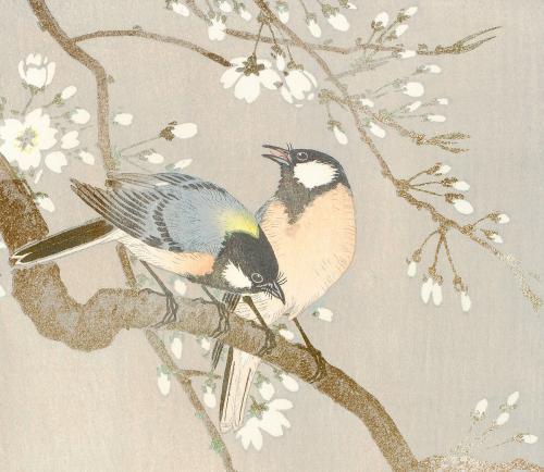 Tit birds on a cherry branch vintage illustration, remix from original artwork. - 2268389
