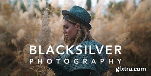 ThemeForest - Blacksilver v4.1 - Photography Theme for WordPress - 23717875