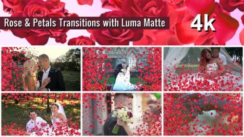 Videohive - Rose and Petals Transition with Luma Matte – 7 Variations - 4k
