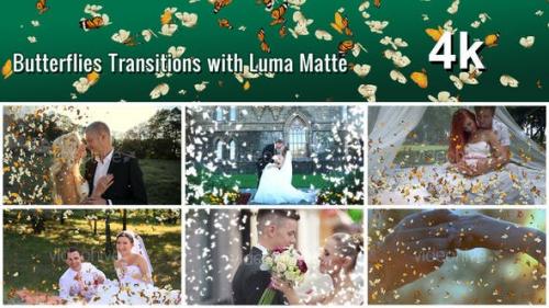 Videohive - Butterflies Transition with Luma Matte – 7 Variations