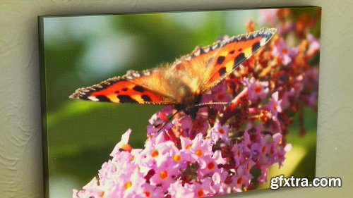 Videohive Canvas Wrap Photo Gallery 10827081 Videohive Canvas Wrap Photo Gallery 10827081