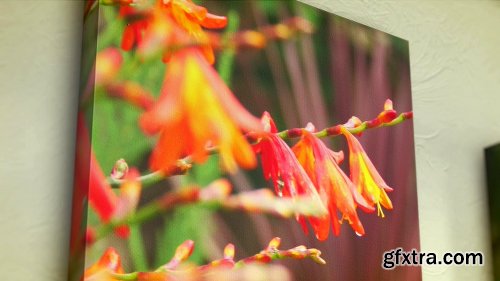 Videohive Canvas Wrap Photo Gallery 10827081 Videohive Canvas Wrap Photo Gallery 10827081