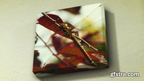 Videohive Canvas Wrap Photo Gallery 10827081 Videohive Canvas Wrap Photo Gallery 10827081