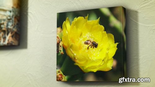 Videohive Canvas Wrap Photo Gallery 10827081 Videohive Canvas Wrap Photo Gallery 10827081