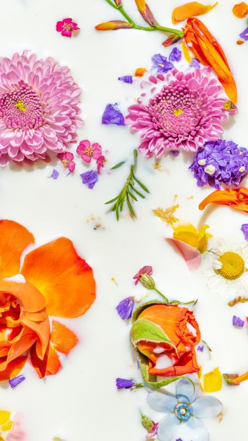 Colorful summer flowers in a milk bath background - 2293714