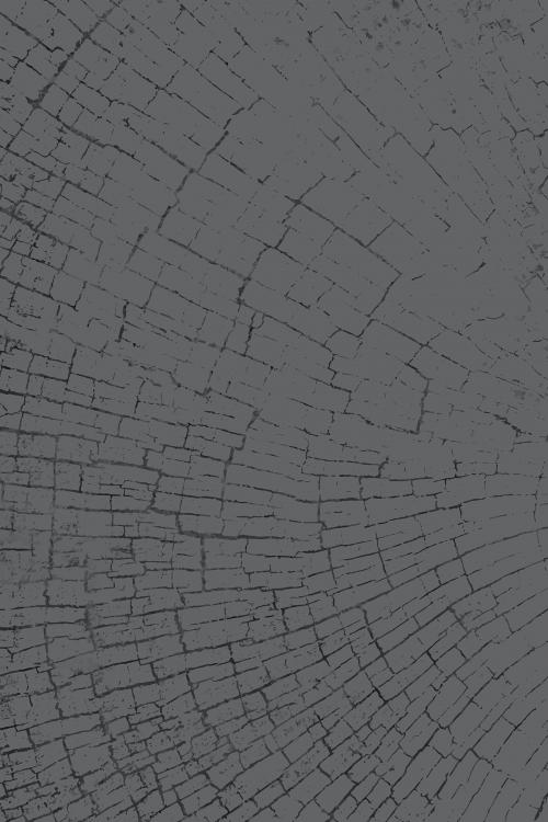 Gray tree rings textured flooring background vector - 2253097