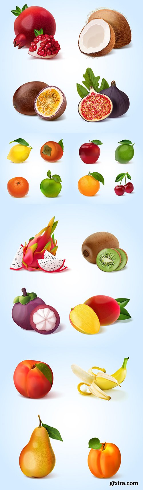 Realistic collection of ripe and tropical fruit illustrations
