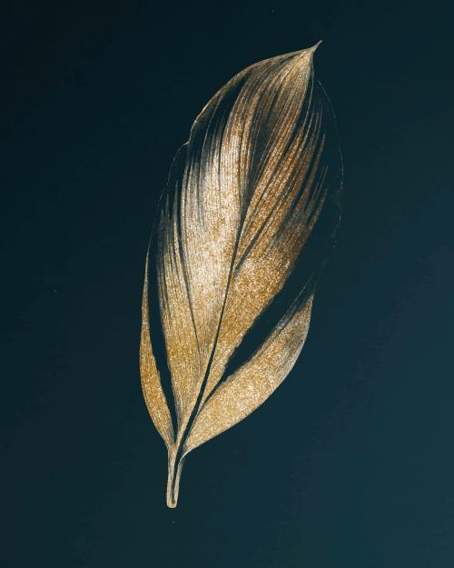 Dracaena Recina, succulent tropical leaf vintage vector, remix from original artwork of Benjamin Fawcett. - 2267561