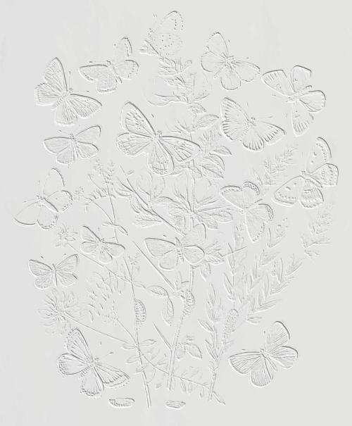 Butterflies and moths fluttering over flowers vintage illustration vector, remix from original artwork. - 2269842