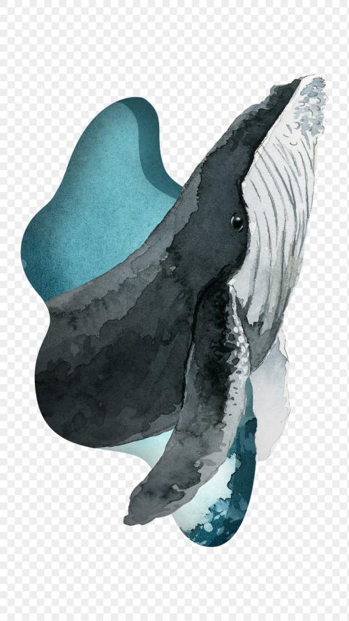 Watercolor painted humpback whale transparent png - 2045251