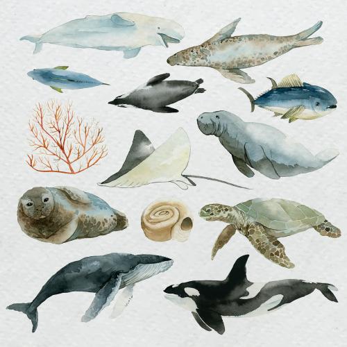 Animals from the sea in watercolor set vector - 2045508
