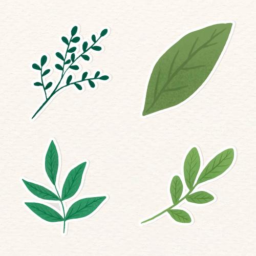 Green leaves sticker collection vector - 2030753