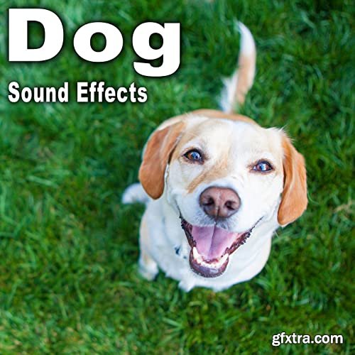 The Hollywood Edge Sound Effects Library Dog Sound Effects FLAC