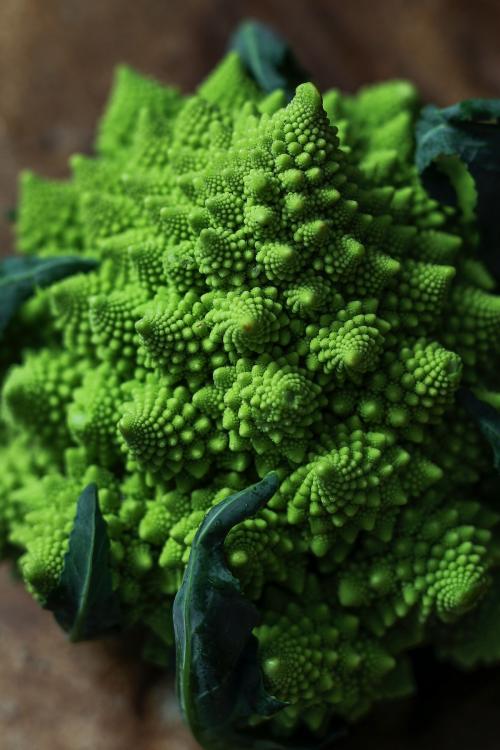 Fresh healthy organic romanesco broccoli - 844797