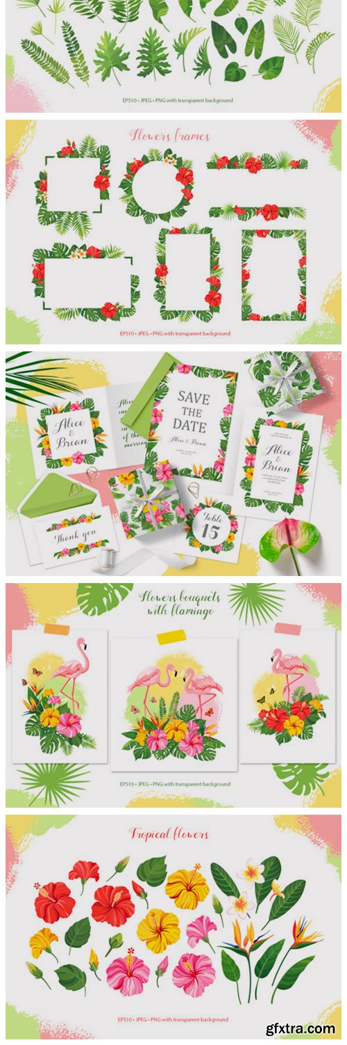 Tropical Vector Graphic Set 4462288 Tropical Vector Graphic Set 4462288