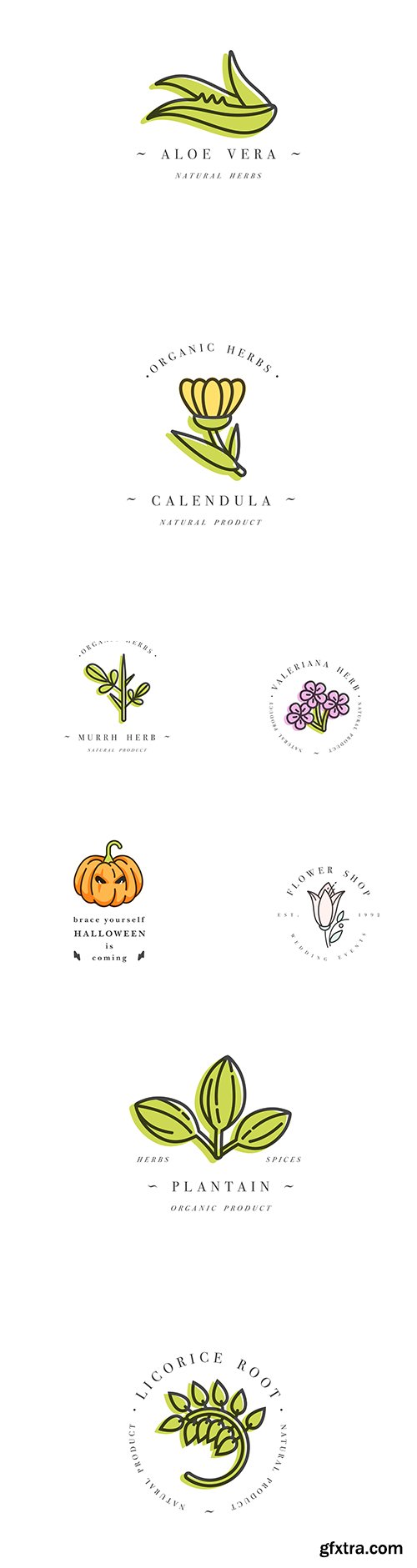 Colorful Logo Template Set