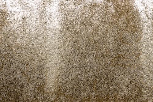 Roughly gold painted concrete wall surface background - 596860