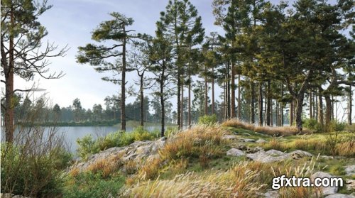 Maxtree – Plant Models Vol. 24