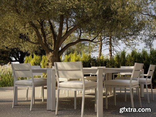 Maxtree - Plant Models Vol. 23