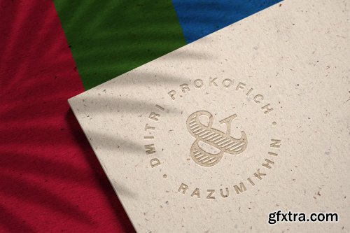 CreativeMarket - Modern Luxury Logo Mockup Set 2 5107357