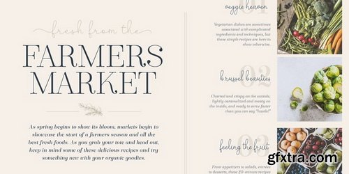 Winslow Title Font Family