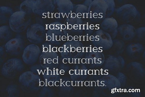 Berry Slab Serif Font