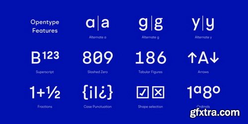 BR Omega Font Family