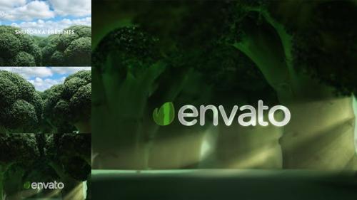Videohive - Broccoli Logo Opener | Nature, Ecology, Vegetarianism