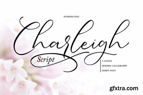 Charleigh Modern Calligraphy Script Font