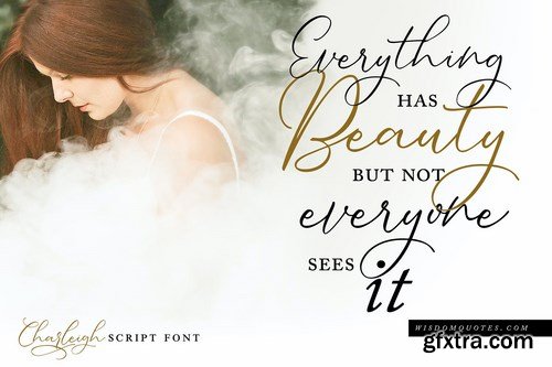 Charleigh Modern Calligraphy Script Font