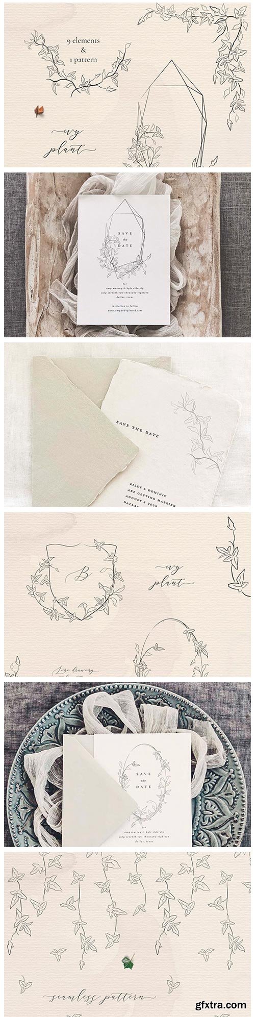 CM - Line Drawing Ivy Plant Illustrations 4673095