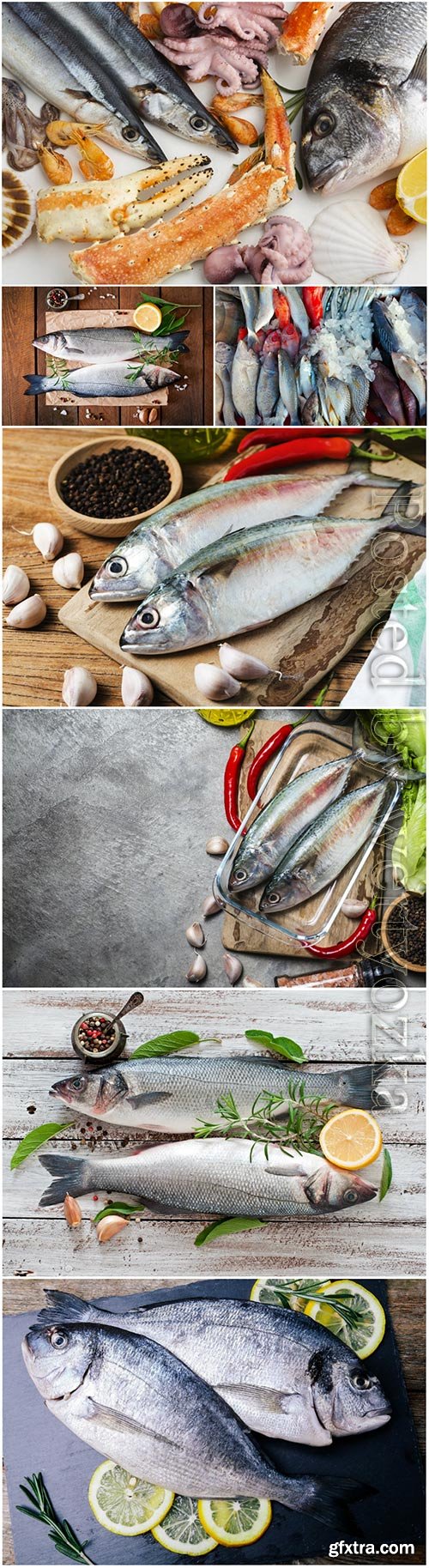 Fresh fish and seafood stock photo Fresh fish and seafood stock photo