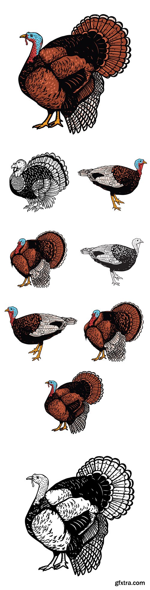 Thanksgiving illustration turkey on white background illustration
Thanksgiving illustration turkey on white background illustration