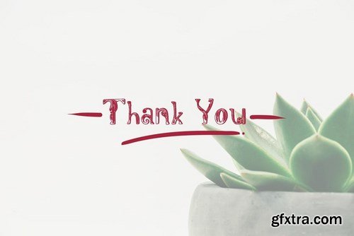 CM - Dynastyan - 5 Font styles 5116330