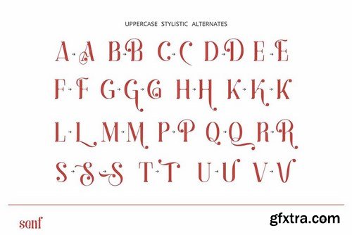 CM - Anaximander Serif Font 5212179
