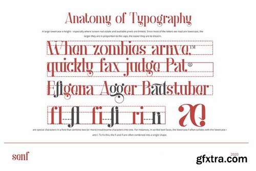 CM - Anaximander Serif Font 5212179
