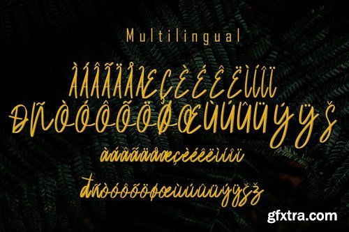 Balsam Brushline Font