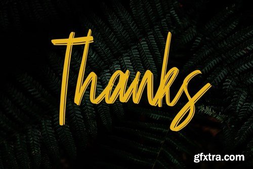 Balsam Brushline Font