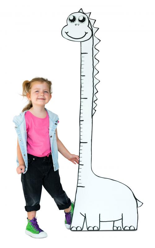 Tall Measure Height Child Growing Scale - 4818
