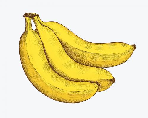 Ripe fresh banana on a white background - 1208986