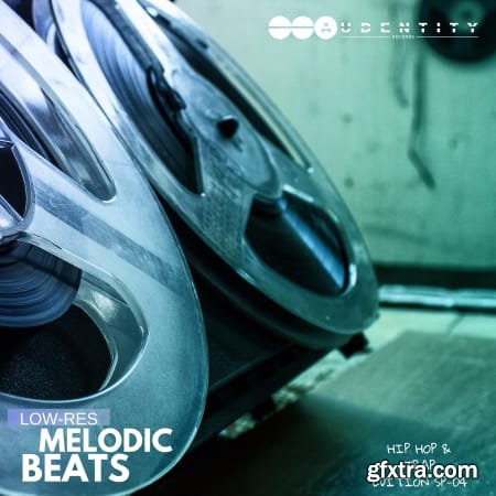Audentity Records Low Res Melodic Beats WAV-FLARE