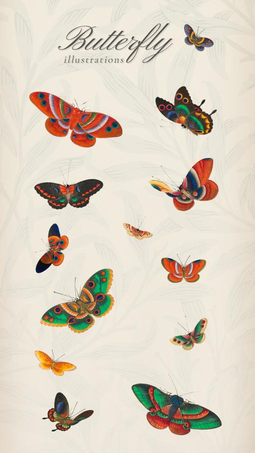 Beautiful vintage Chinese butterfly and insect illustrations set mockup - 2205576