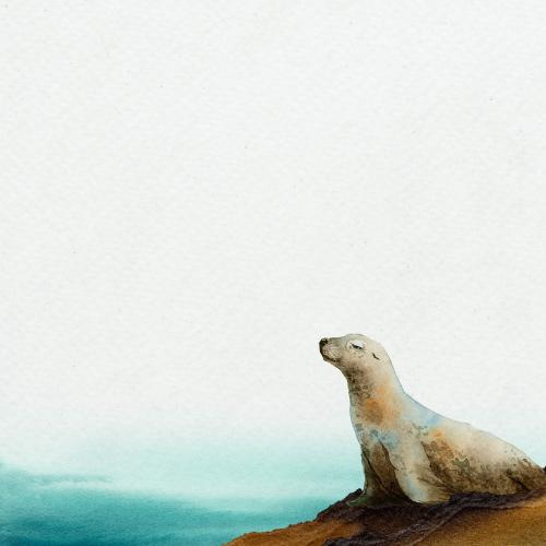Watercolor painted seal on a rock banner template - 2045329