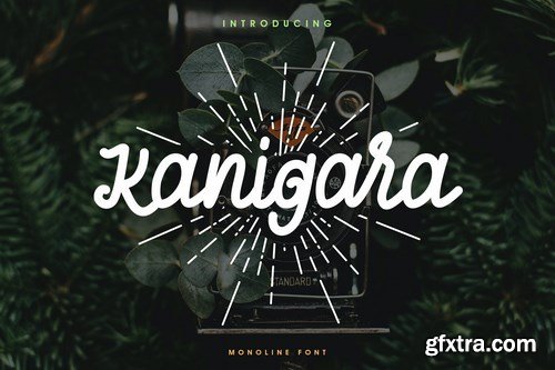 Kanigara - Monoline Font