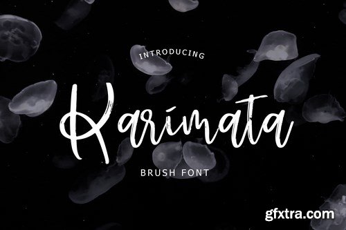 Karimata Brush Script Font