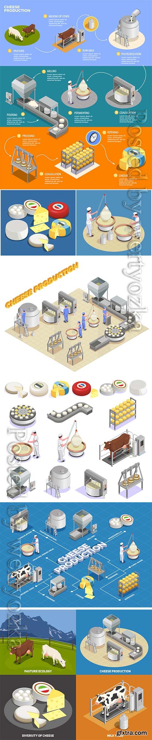 Isometric cheese production illustrates the process of milk yield Isometric cheese production illustrates the process of milk yield